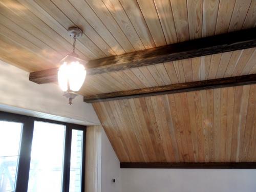 Какой потолок лучше в частном доме. Что выбрать для отделки потолка