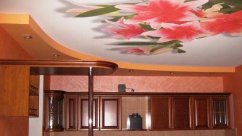 Как дешево сделать потолок на кухне. Выбираем потолок на кухне —, какой лучше из 6 современных вариантов