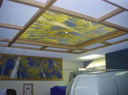 Где производят натяжные потолки. Страна производитель полотна для натяжного потолка — Франция