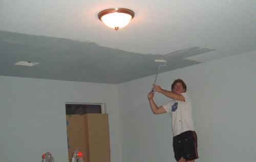 Какие виды потолков бывают. Покраска или побелка потолков 01