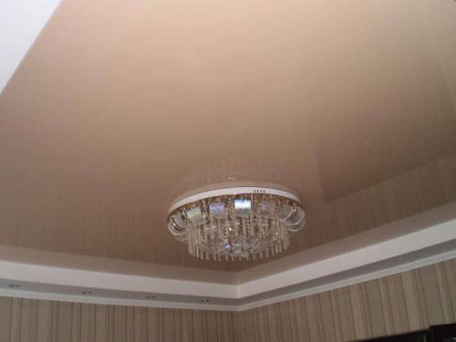 Варианты освещения зала и гостиной с натяжным потолком. Взаимосвязь фактур полотна с источниками света 03