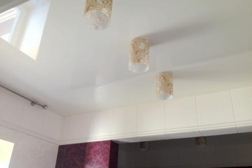 Какой потолок лучше установить в ванной комнате. Дорогая эффектная потолочная отделка 06