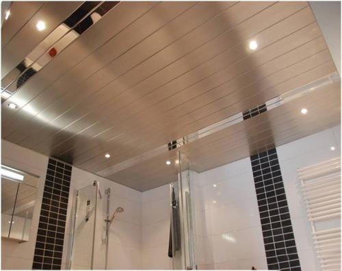 Виды потолков в ванной. 12 лучших потолков для ванной