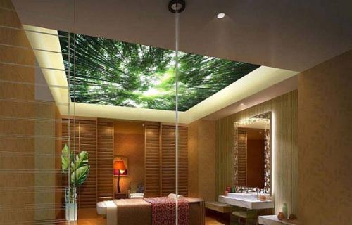 Рейтинг потолков для квартиры. Какие бывают виды потолков для дома и квартиры, преимущества и недостатки 17 Рейтинг потолков для квартиры. Какие бывают виды потолков для дома и квартиры, преимущества и недостатки 17