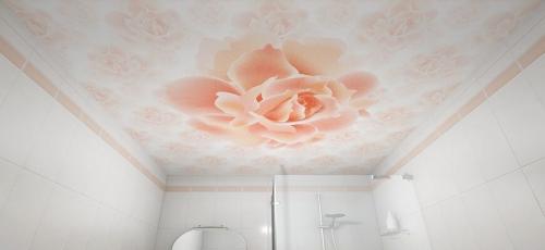 Как сделать потолок в ванной комнате. Из чего сделать потолок в ванной комнате: материалы и варианты