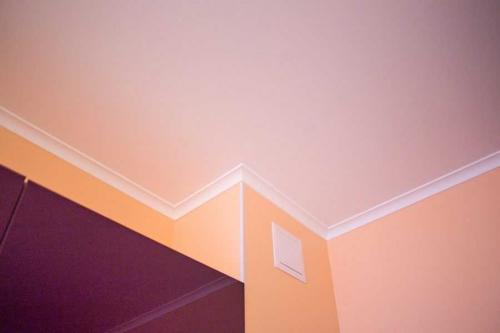 Чем отделать потолок в частном доме. Все варианты отделки потолка — обзор лучших материалов, всех плюсов и минусов (100 фото новинок)