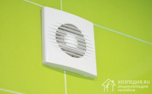 Как вывести грибок в ванной на потолке народными средствами. Радикальные