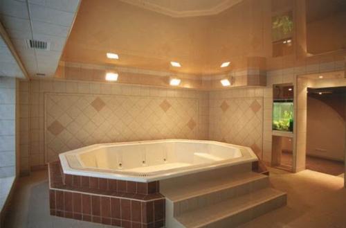 Из чего сделать потолок в ванной в частном доме. Из чего лучше сделать потолок в ванной?