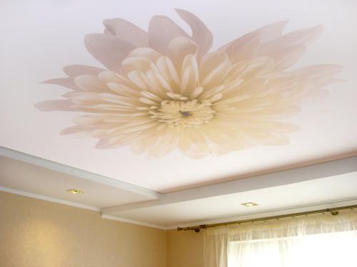 Натяжные потолки с цветами. Особенности натяжных потолков с цветами