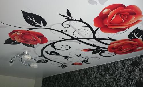 Натяжные потолки с цветами. Особенности натяжных потолков с цветами