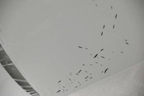 Как установить натяжной потолок одному. Виды натяжных потолков, их особенности и сфера применения