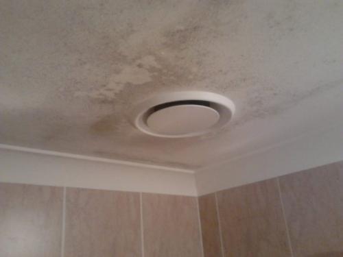 Натяжной потолок в ванной плесень. Причины образования плесени под натяжным потолком