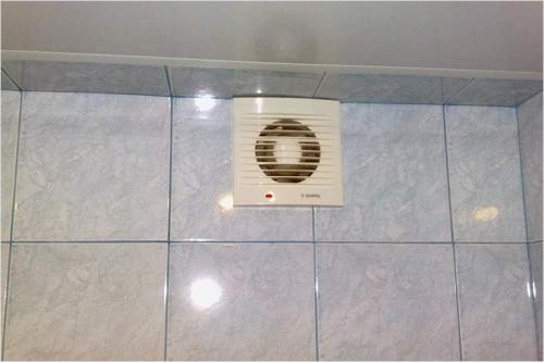 Чем покрасить потолок и стены в ванной. Как профессионально покрасить стены в ванной