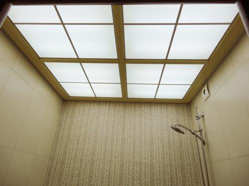 Чем покрыть потолок в ванной. Виды отделки потолков для ванной комнаты