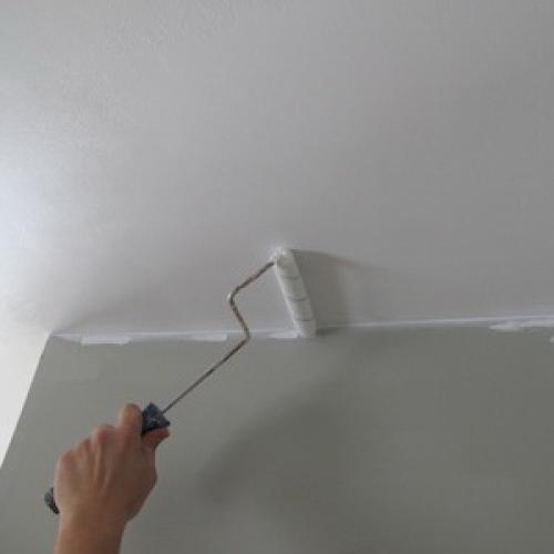 Чем покрасить потолок и стены в ванной. Краска для потолка в ванной (35 фото): основные правила выбора