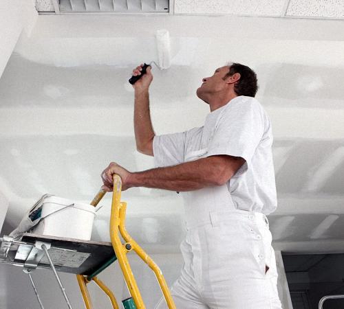 Требования к краскам для потолка ванной комнаты. Силиконовые и силикатные аналоги