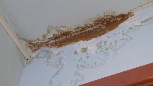 Чем покрасить потолок в ванной от плесени. Плесень на потолке в ванной, как избавиться: эффективное устранение