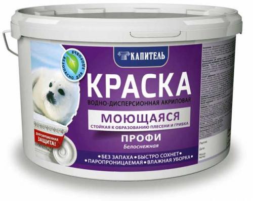 Чем покрасить потолок в ванной от плесени. Краска против плесени и грибка (особенности применения)