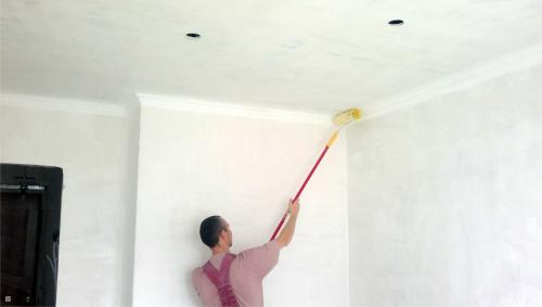 Чем покрасить потолок в ванной от плесени. Краска против плесени и грибка (особенности применения)