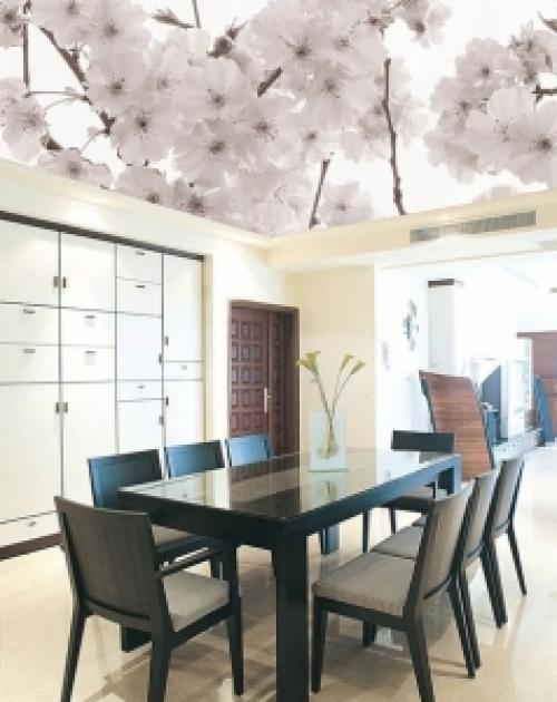 Натяжные потолки дышат. Дышащие натяжные потолки —, что это?