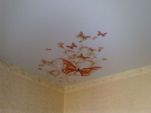 Матовый натяжной потолок. Матовые натяжные потолки – покупать или отказаться?